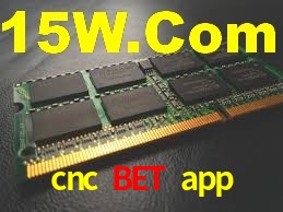 Crash Games Strategies cnc bet app
