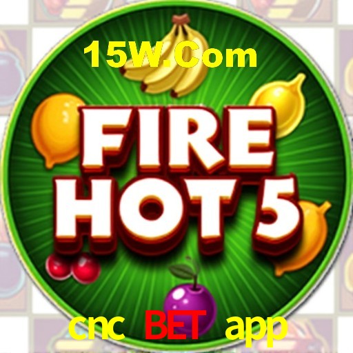 Estatísticas Crash Games cnc bet app