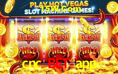 cnc bet app - Support