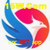 cnc bet app Salvador - Football