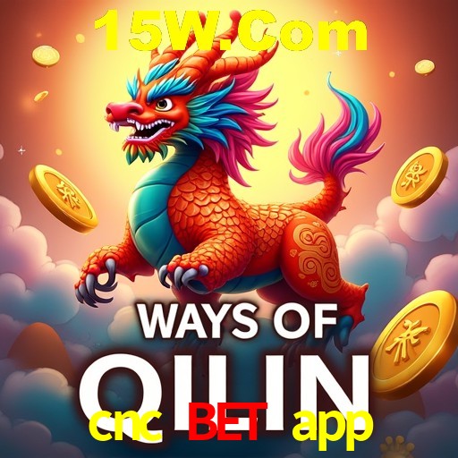 Programa VIP cnc bet app