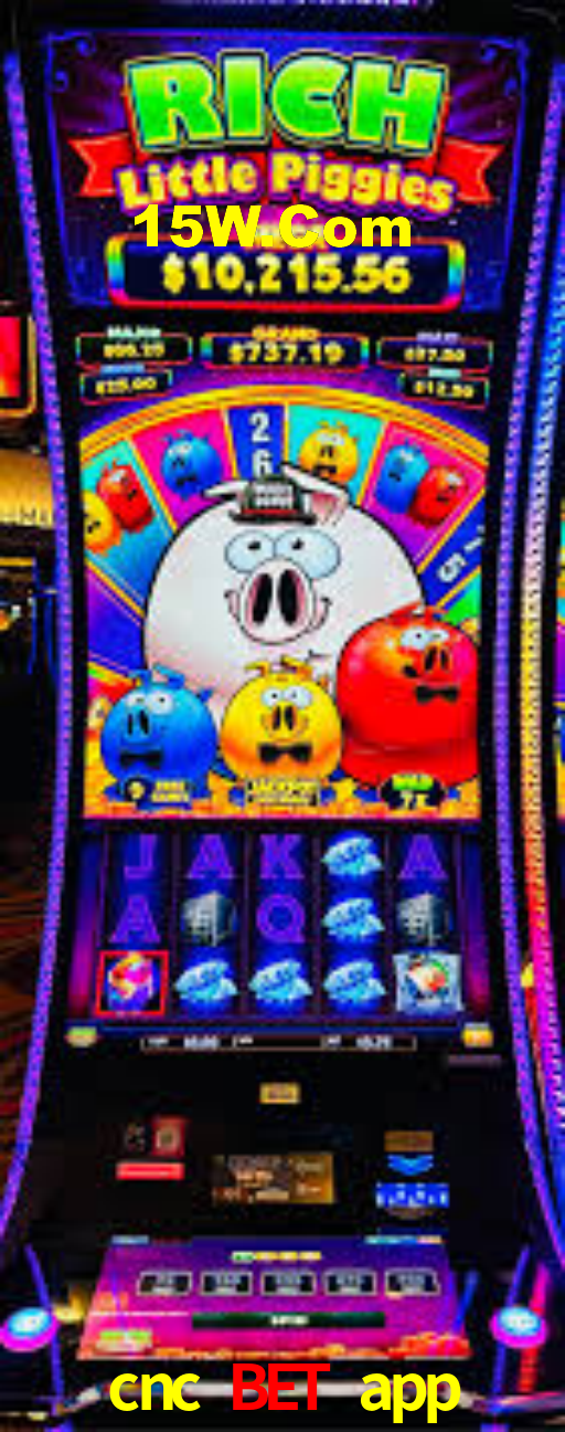 cnc bet app,cnc bet