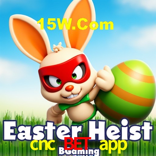 Casino VIP cnc bet app