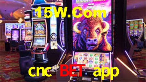 cnc bet login