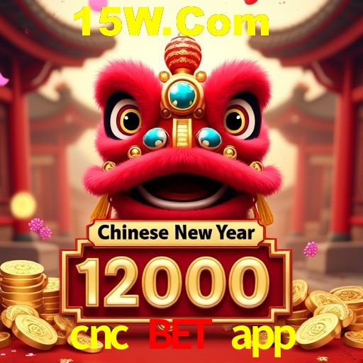 Descubra o Mundo do Cassino Online com cnc bet app
