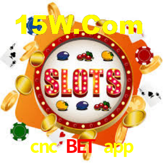 cnc bet app - App Security
