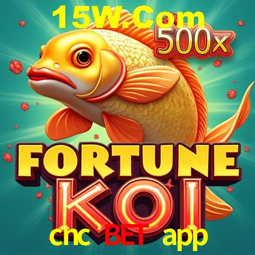 Interface do App cnc bet app