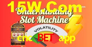 Sports Statistics cnc bet app