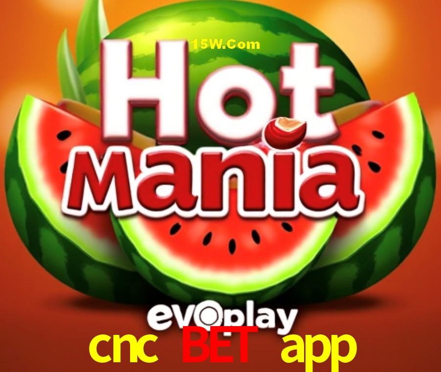 Estatísticas do Jogo cnc bet app