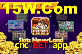 Experiência VIP cnc bet app