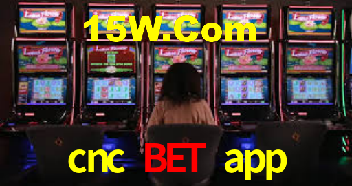 Experimente o Login Seguro Premium no cnc bet app