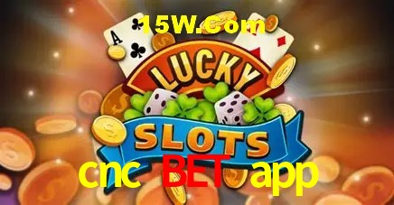 cnc bet app - Security