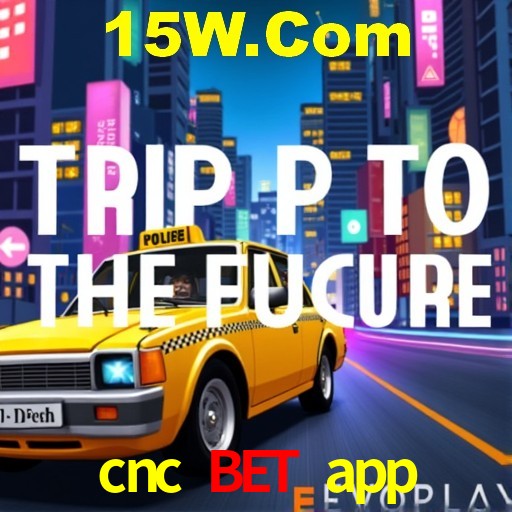 PIX Instantâneo cnc bet app