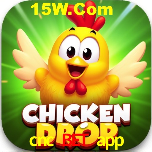 cnc bet app Rio de Janeiro - Bonus Terms