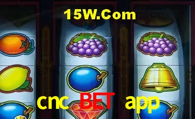 Sistemas de Segurança cnc bet app