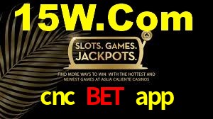 cnc bet app App Interface